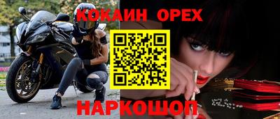гашик Лесосибирск