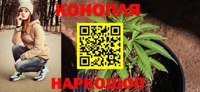 гашик Лесосибирск